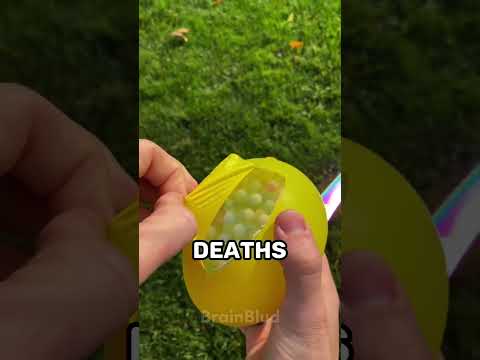 Random Facts That Can Save Your Life 👀