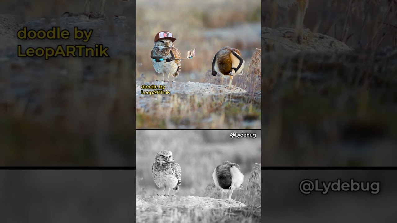 Relaxing Hobby: Creating Viral Content in Free Time ๐จ