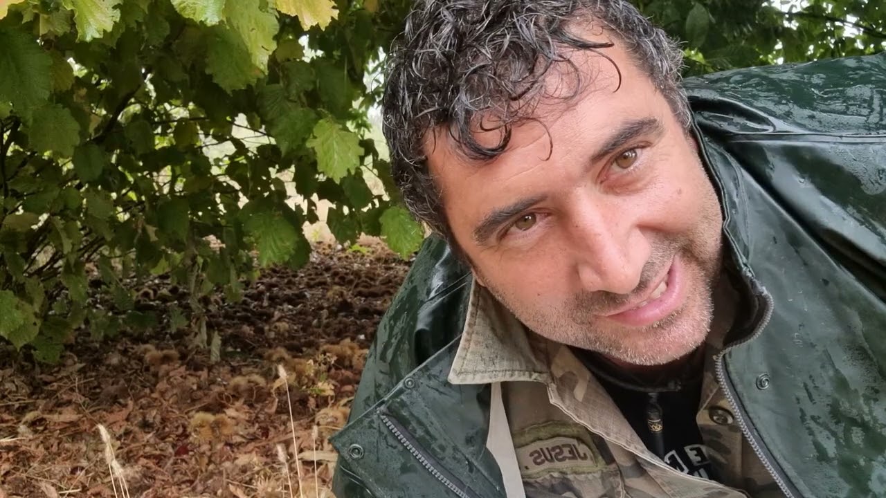 Guía para Recoger Castañas de Forma Segura y Efectiva 🌰