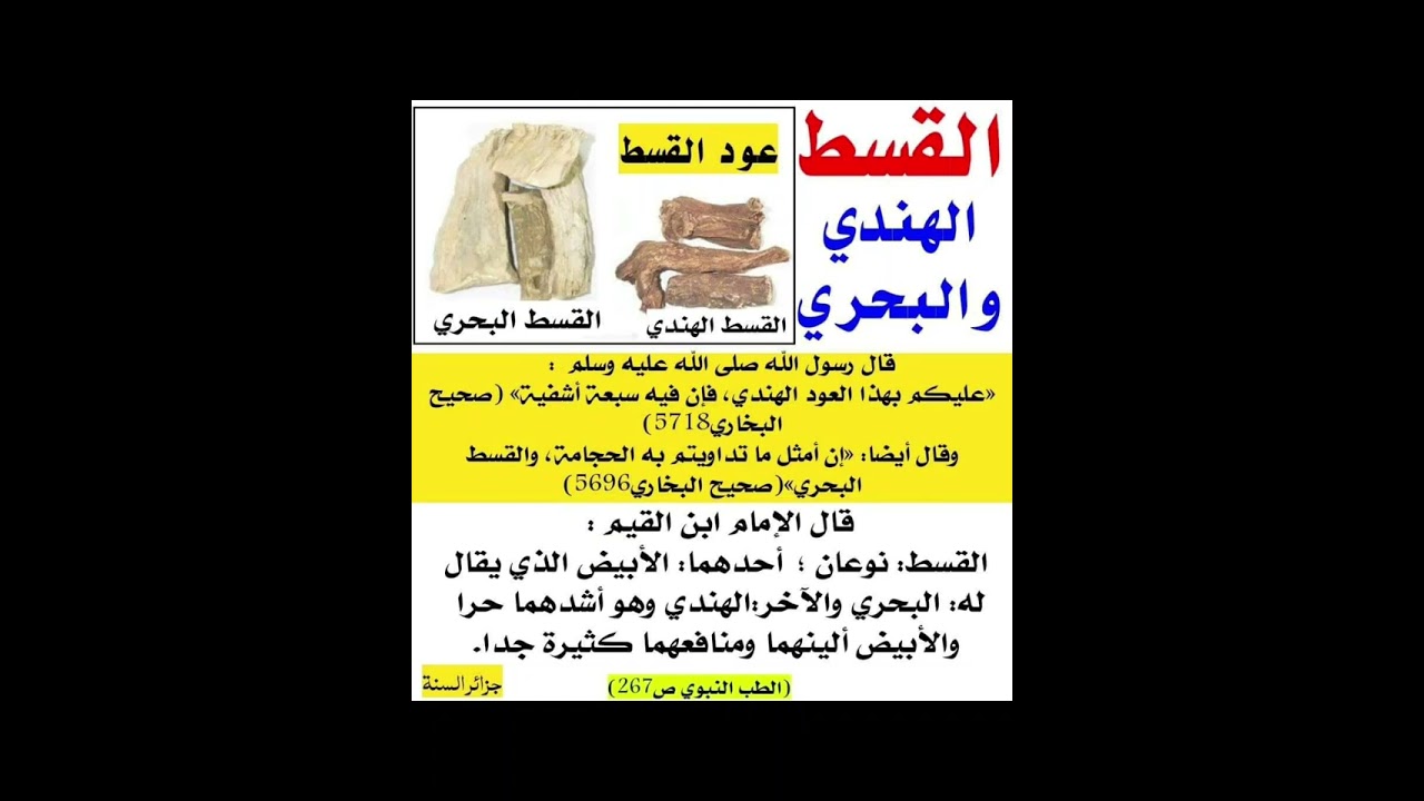 اكتشف فوائد القسط الهندي والبحري الصحية والطبية 🌿