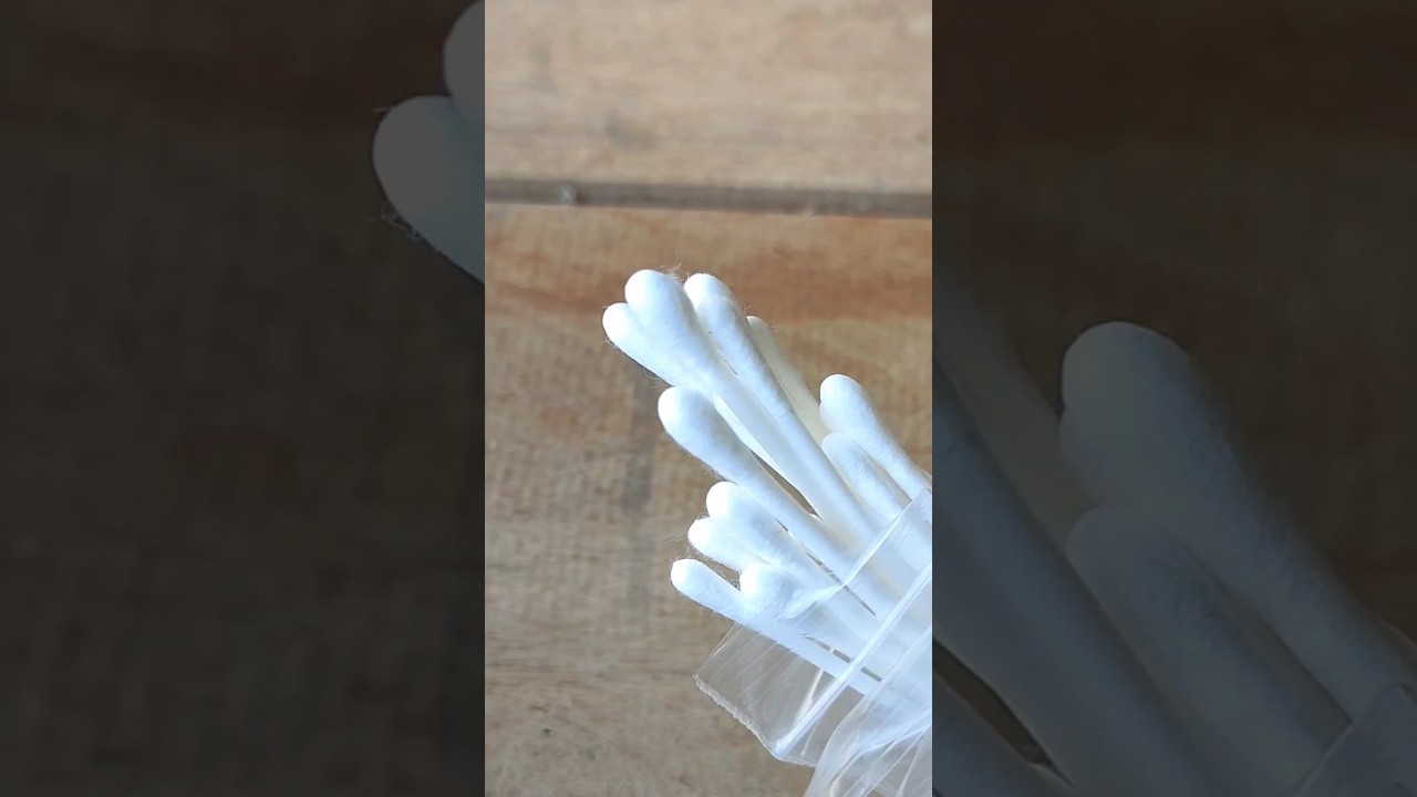 Creative Garden Watering Hack with Cotton Buds 🌱