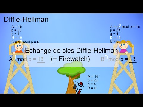 Explication - 7 - Échange de clés Diffie-Hellman (+ chiffrement symétrique dans Firewatch)