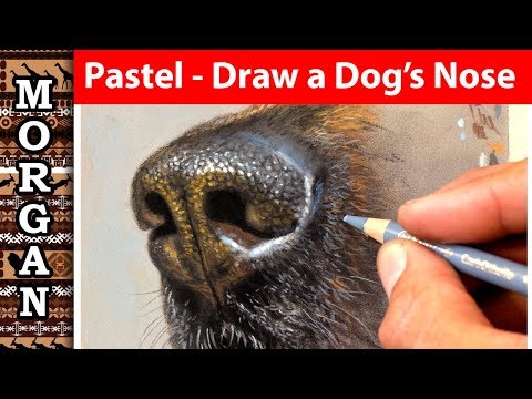 Pastel pencils how to draw a dogs nose - Pet portrait Artist