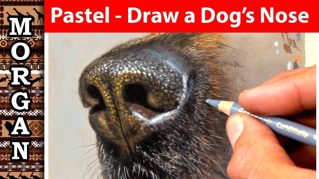 How to Draw a Dog's Nose with Pastel Pencils - Pet Portrait Artist Tutorial
