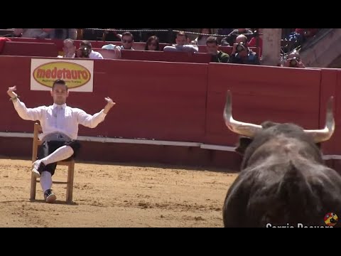 Campeonato 'Recortador de Oro' en Fallas 2016 🎖