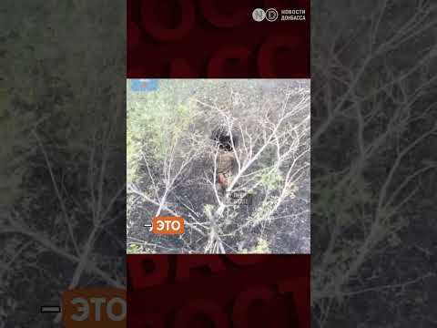 «Труба-3» привела армию РФ в Купянск?