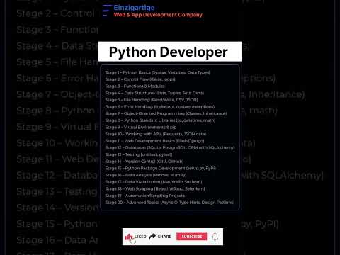 Python Developer Roadmap 2025 | Level Up Your Coding Skills with Einzigartige