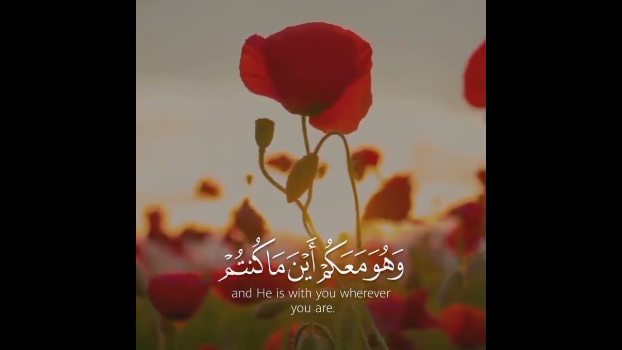 حالات واتساب للشيخ محمد اللحيدان 📱