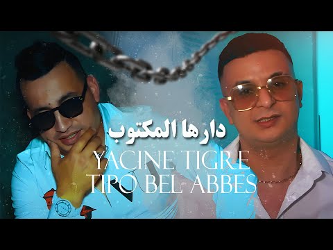 Yacine Tigre 2024 Feat Tipo Bel Abbes دارها المكتوب Derha Lmaktoub | Clip Officiel 2024