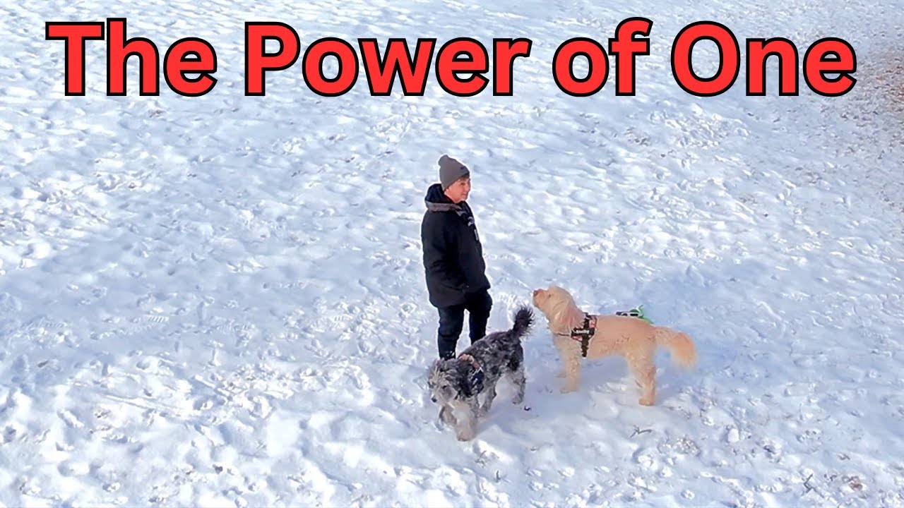 The Hidden Benefits of Being Single