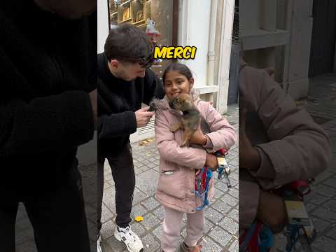 Son chien la rend heureuse, courage à elle ! #defi #videodrole