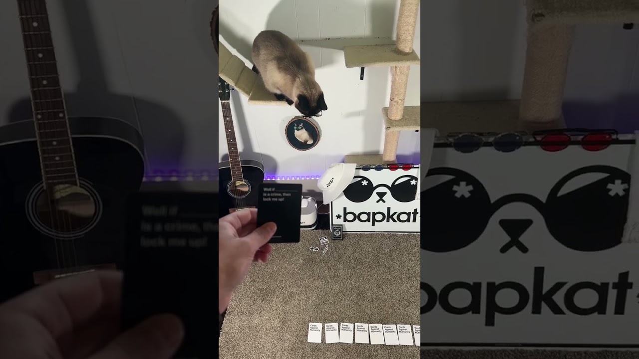 Cards Against Humanity: A Crime? 🃏