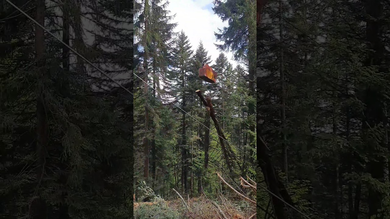 Effektives Holzseilen mit dem Mounty Kombiseilgerät von Konrad Forsttechnik 🌲