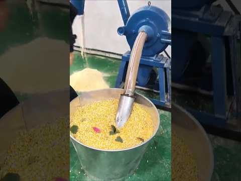 A super convenient and efficient universal grain crusher that everyone deserves the best experience