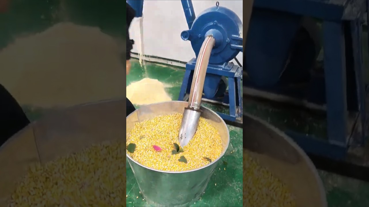 Universal Grain Crusher: Efficient and Convenient Particle Processing