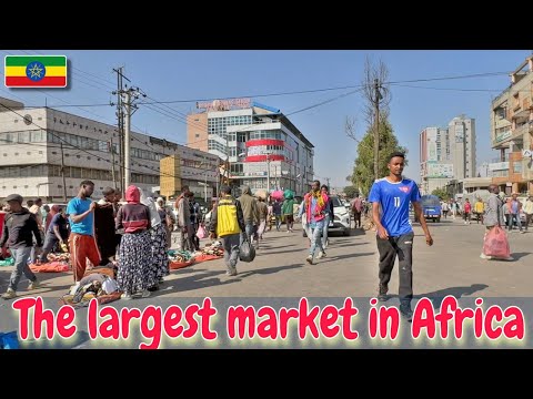 Abyssinia Walk and Drive