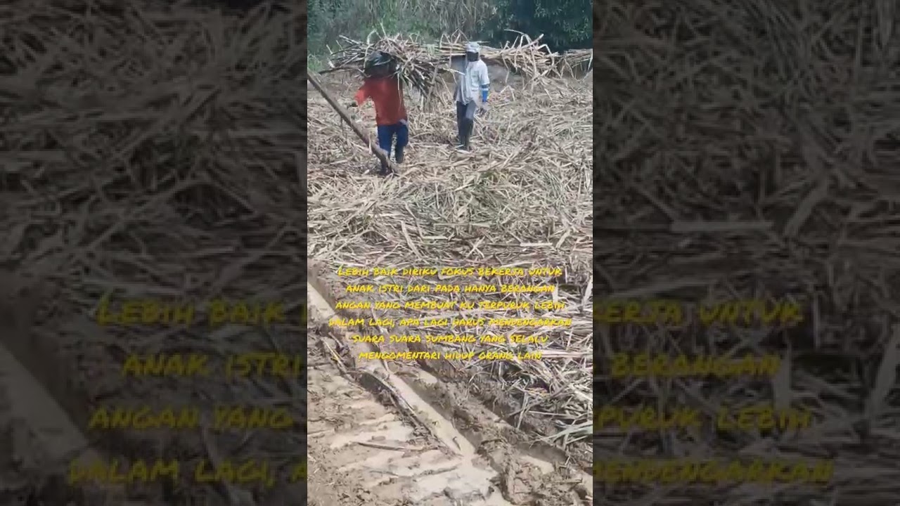 Kuli Angkut Tebu Berkarya π