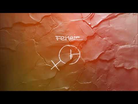 DOC - Femeie feat. Dorian