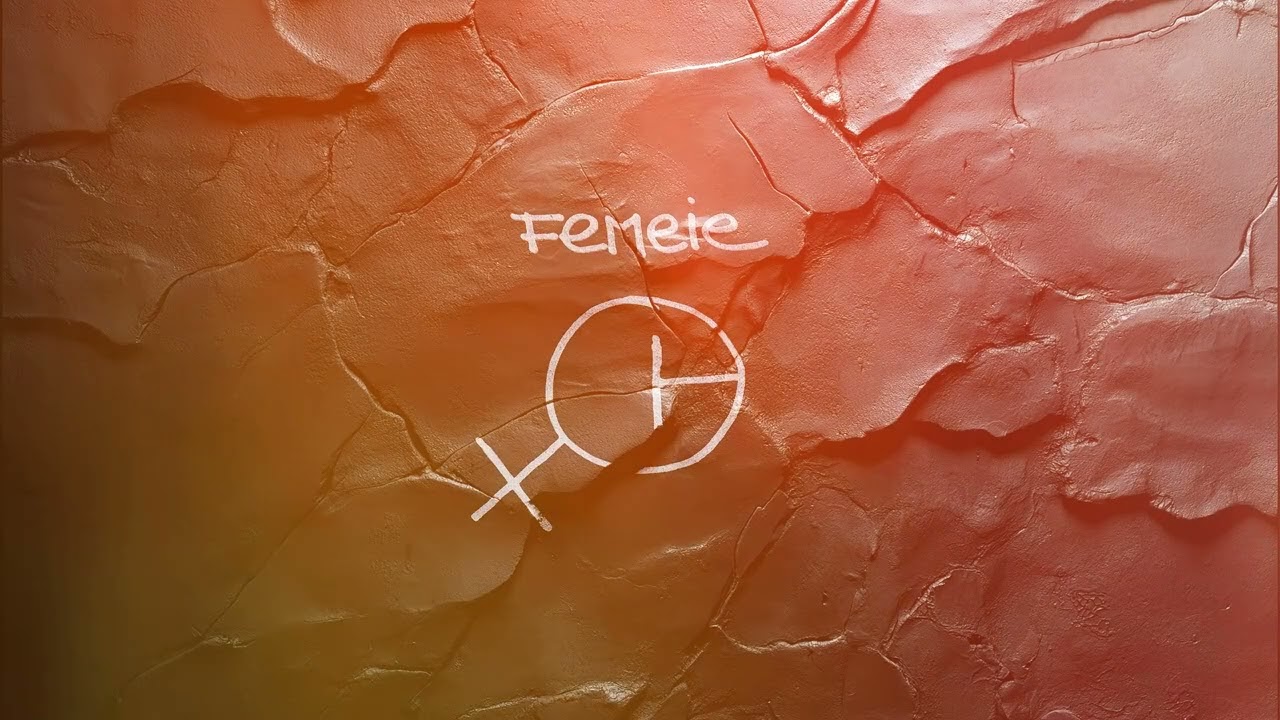 DOC - Femeie feat. Dorian