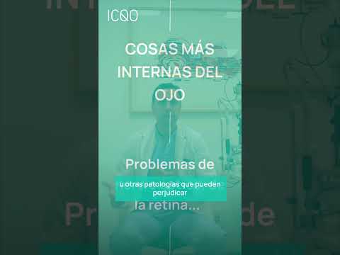 🤓 ¿Qué es la agudeza visual?