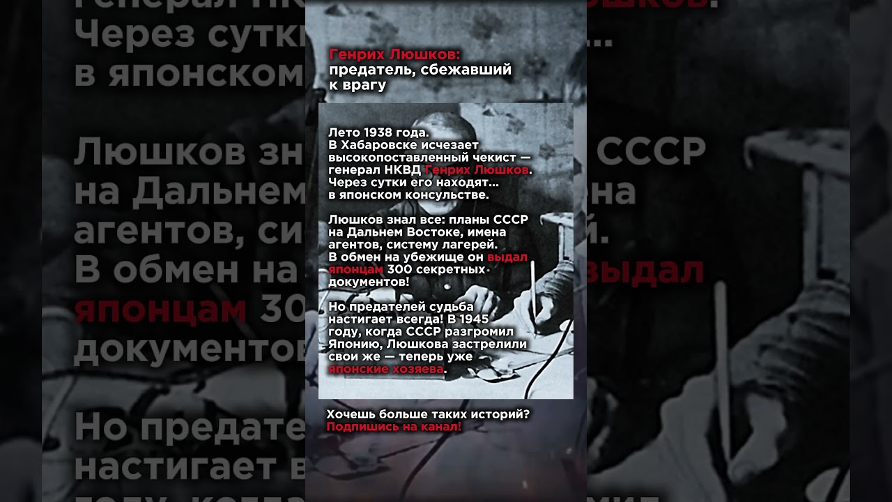 Знаете ли вы? Интересные факты о СССР и войне 🇷🇺