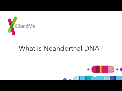 23andMe FAQ: What is Neanderthal DNA?