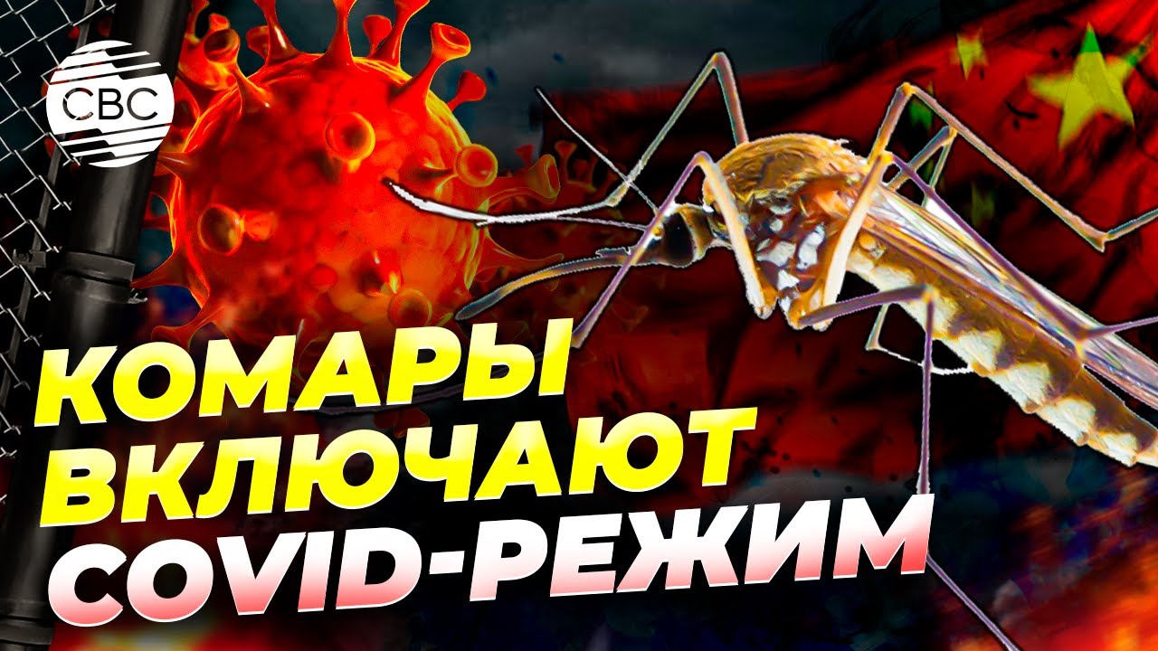 Китай вводит новые COVID-ограничения из-за вспышки