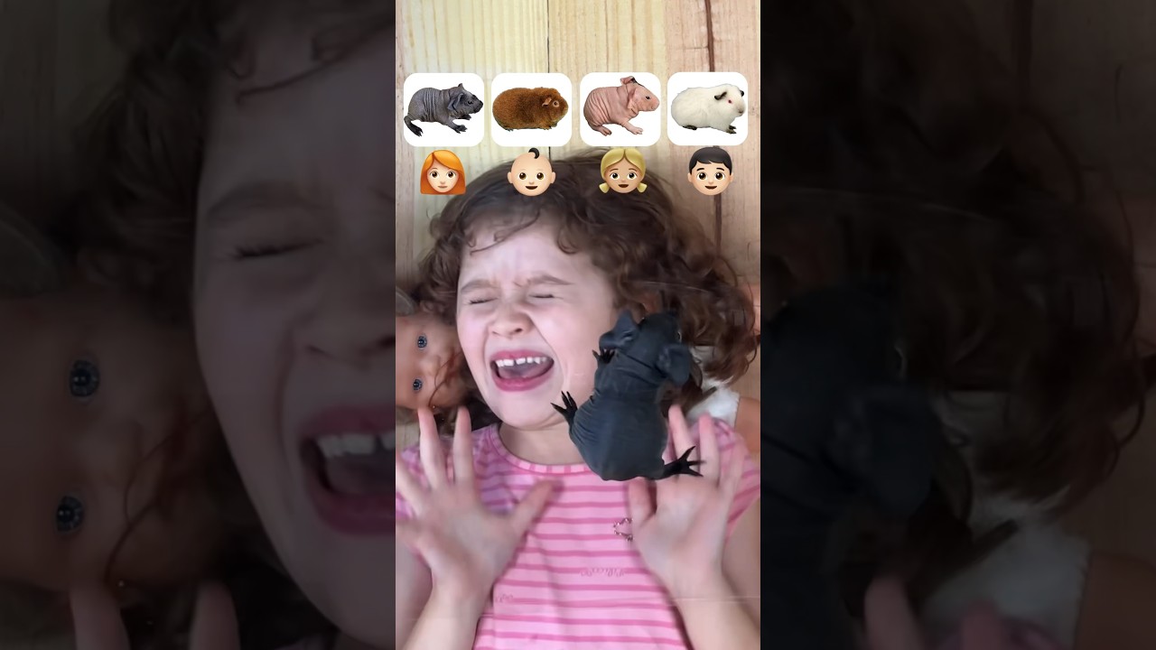 Quem Assusta Mais: Meninos ou Meninas? 😱