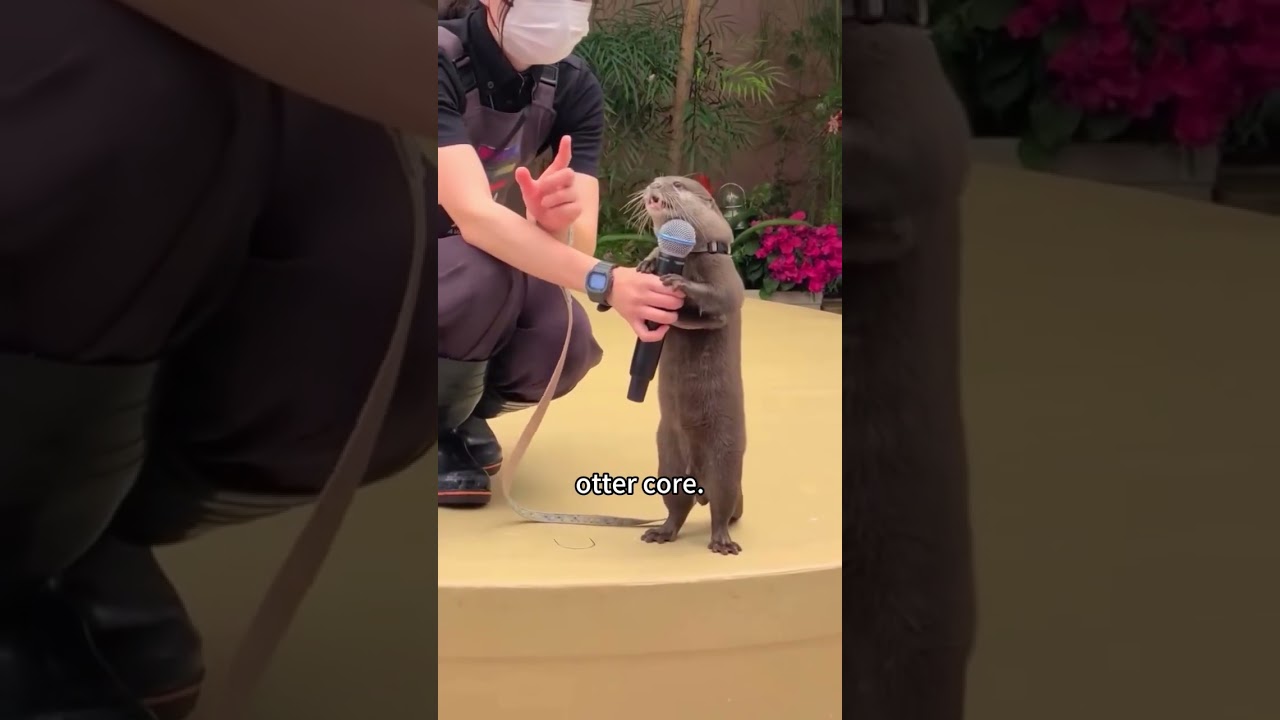 Otter Core 🦦: Cute & Funny Otter Moments