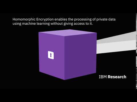 Homomorphic Encryption (HE)
