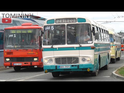 Autobusový den Pid Praha - Letňany 2023 | Historic bus show