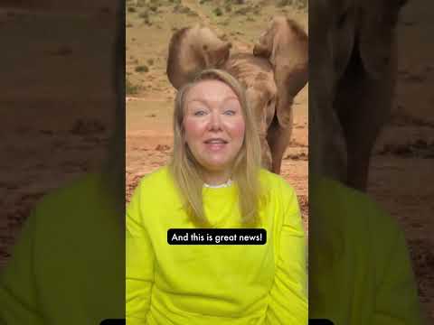 Huge news in the travel industry! #animalwelfare #wildlife