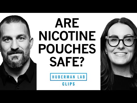 How Nicotine Pouches Affect Oral Health | Dr. Staci Whitman & Dr. Andrew Huberman