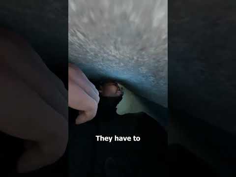 The Tunnel Of Death Commando Training 😨