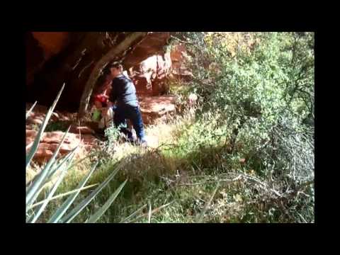 wrm Larry the wild boy