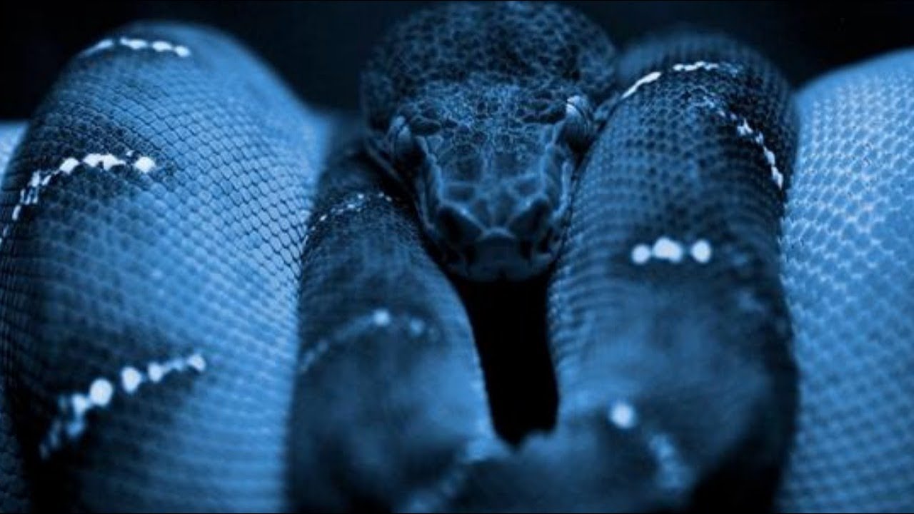 Python Password Hash Checker with MD5 π