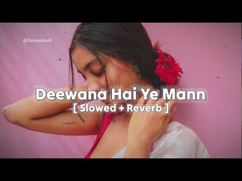 Deewana Hai Ye Mann ( Slowed + Reverb ) Sonu Nigam | Alka Yagnik | Old Song Lofi Slowed Reverb