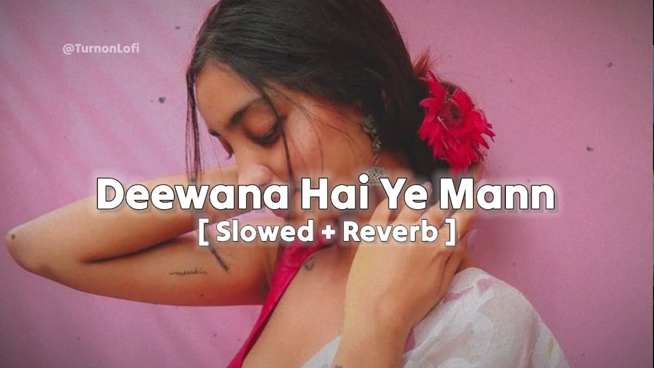 Deewana Hai Ye Mann (Slowed + Reverb) | Sonu Nigam & Alka Yagnik | Nostalgic Old Song Remix 🎶
