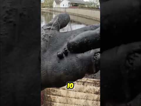 Sinker Snake Found! Crazy Metal Discovery in the Canal! #shorts