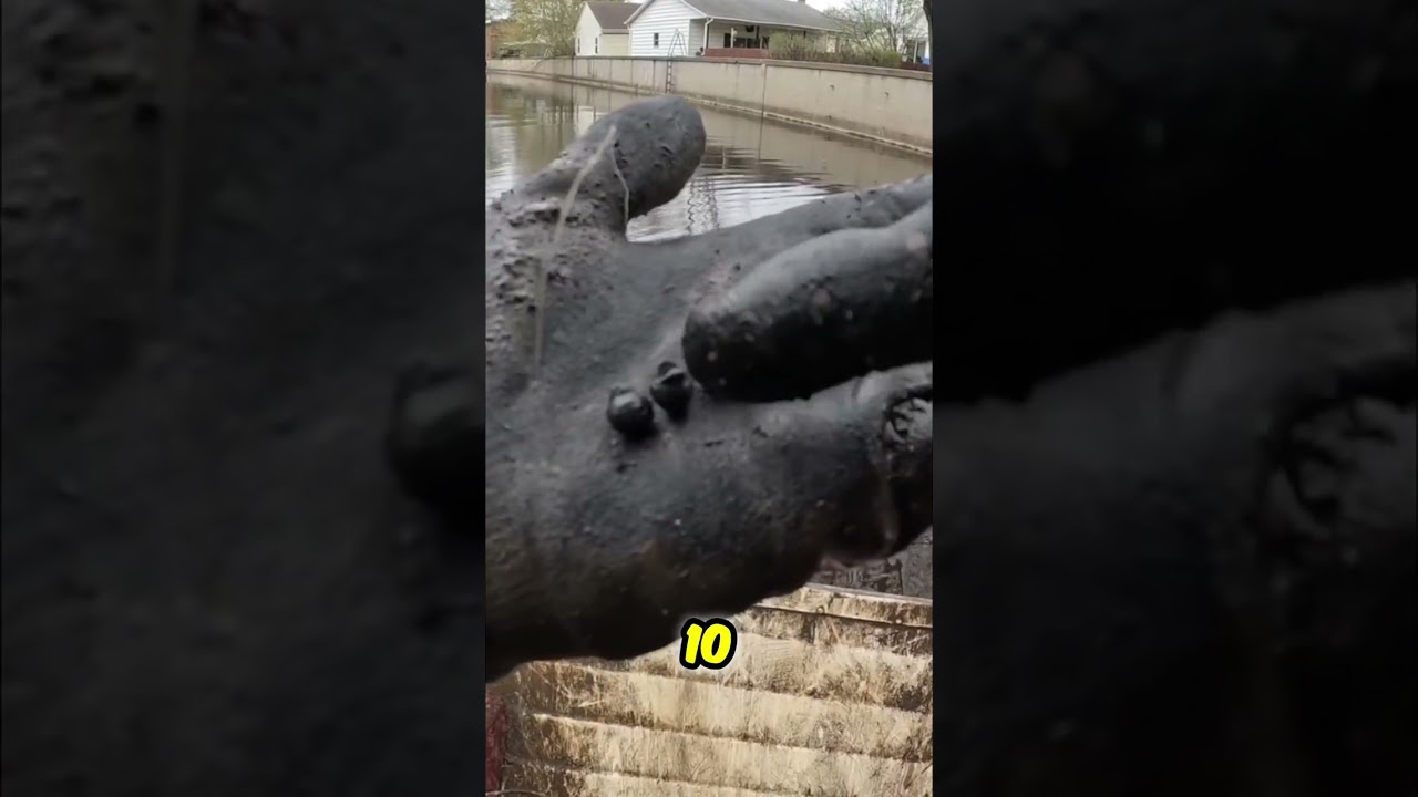 Mysterious Sinkers Discovered in Canal! Unbelievable Metal Find π§