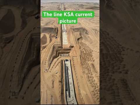The line city Neom Saudi Arabia 🇸🇦 #viralshorts2025