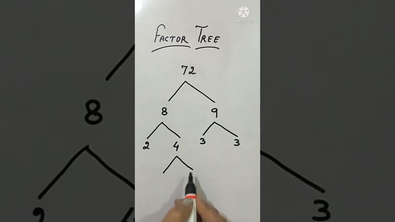 Prime Factorization with Factor Trees ๐ณ