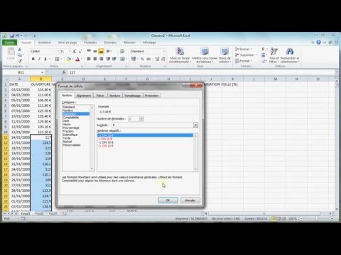 Excel 2010 - Guide des Formats 📊