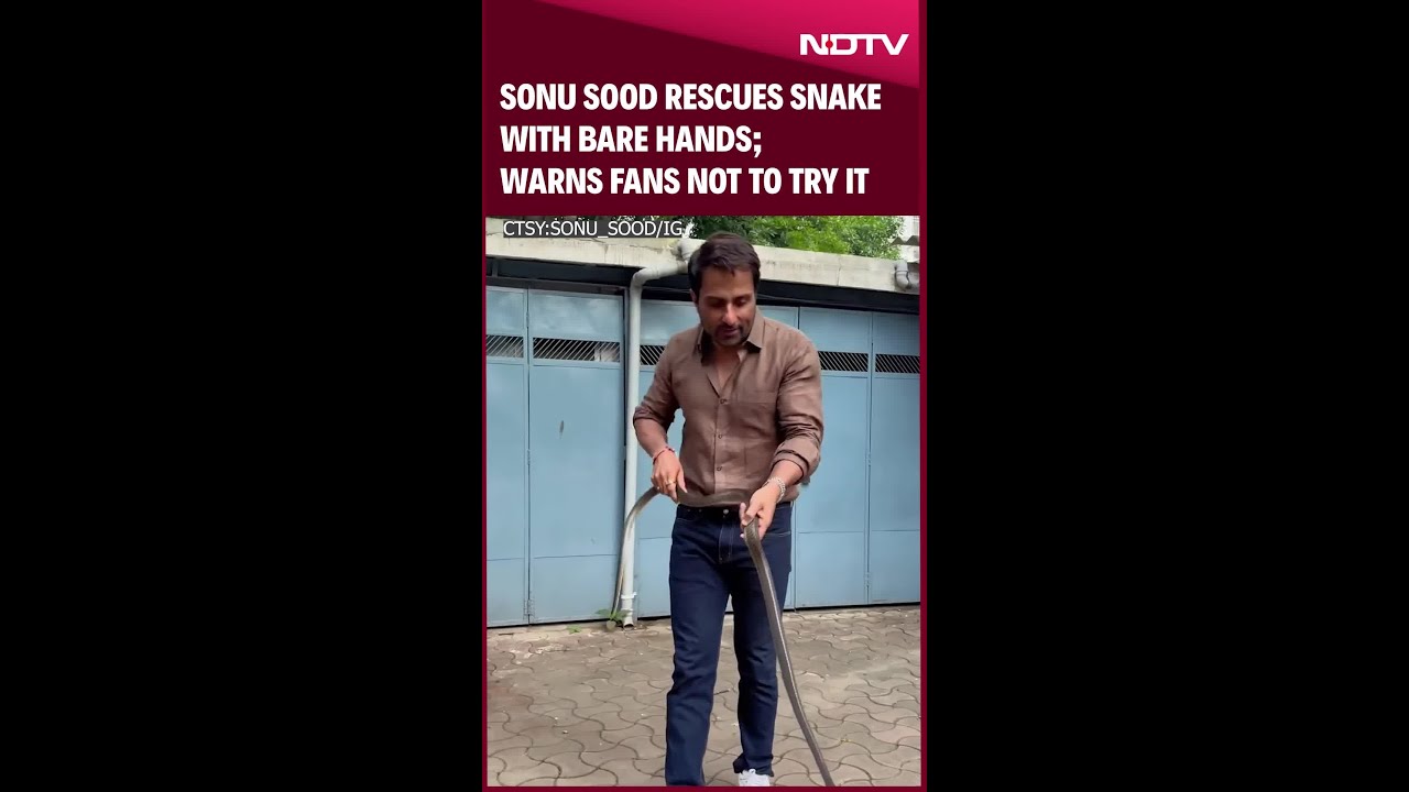Sonu Sood Rescues Snake at Home 🐍