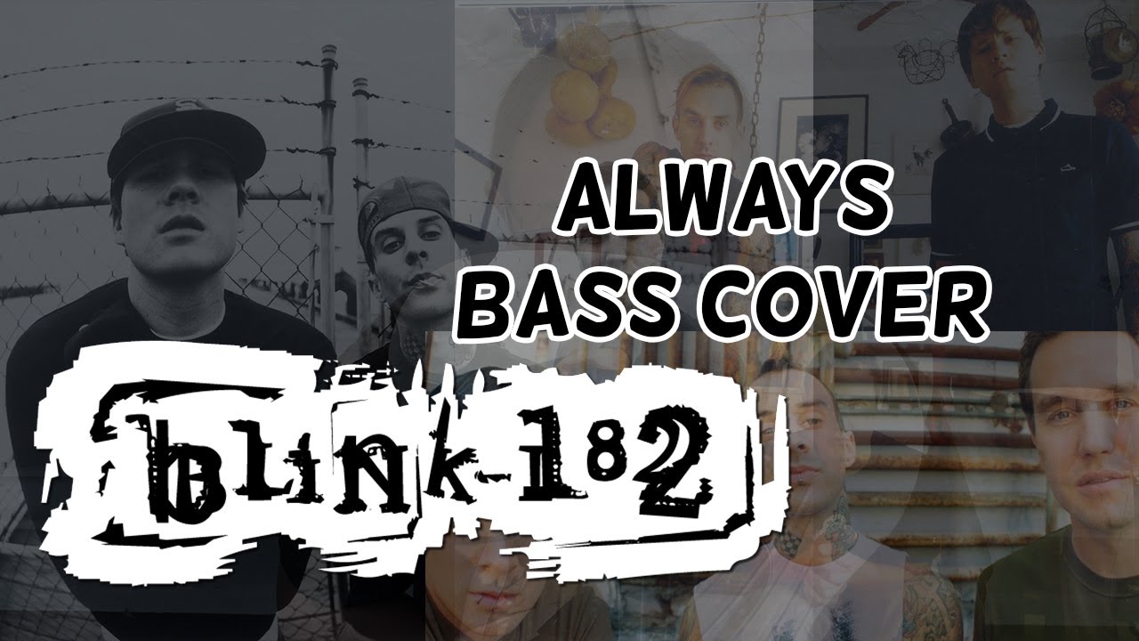 Blink-182 'Always' Bass Cover 🎸