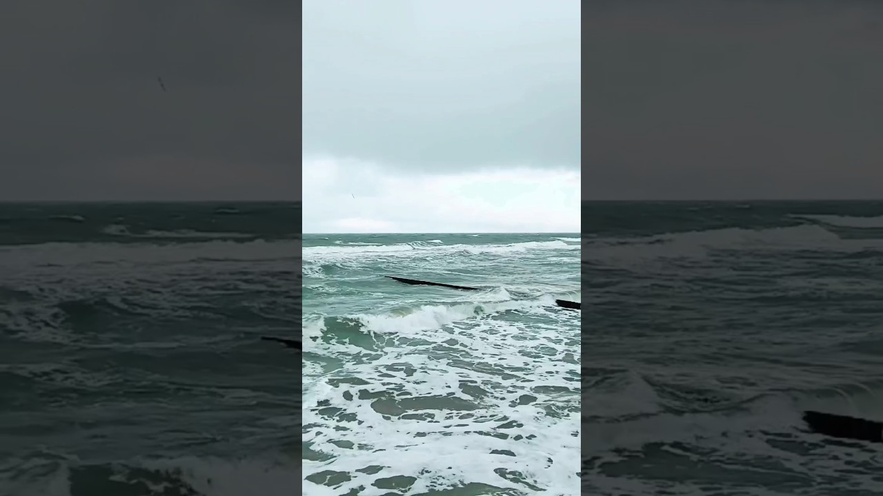 Balti | Allo | Choir Version 🎶