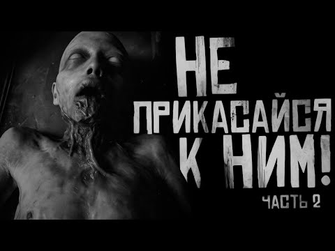 НЕ ПРИКАСАЙСЯ К НИМ! Часть 2. Страшные истории на ночь. Страшилки на ночь.
