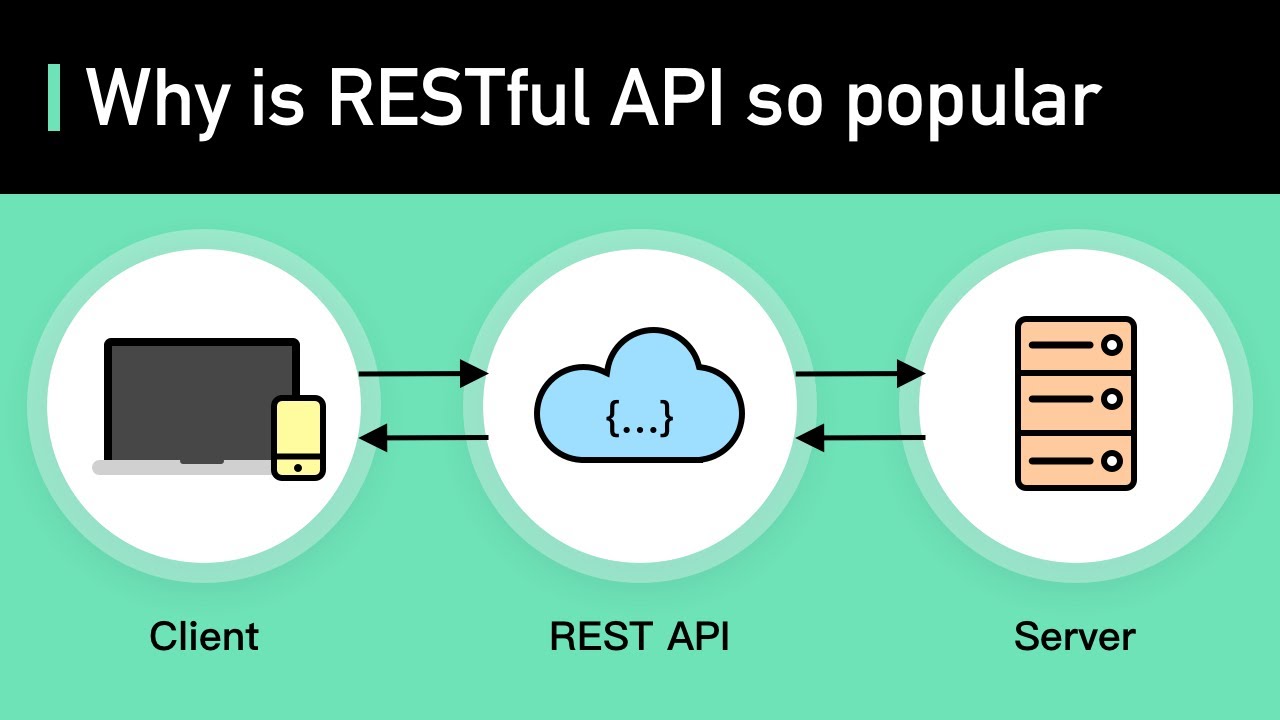 REST API Explained: Examples & How to Use It | System Design Crash Course π