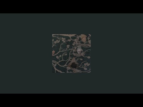 "i would've died rather than betray my friends!" (an angsty sirius black core sped-up playlist)