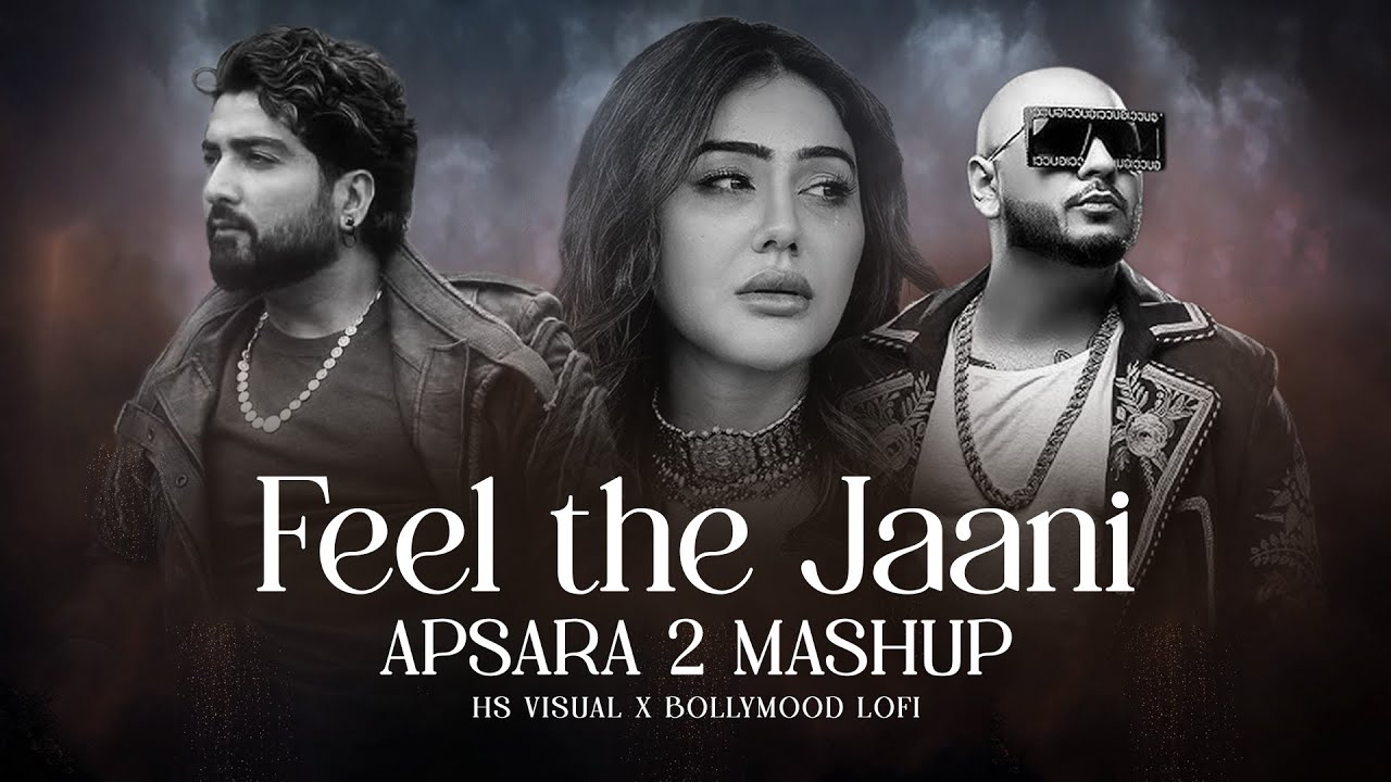 Feel the Jaani Mashup 2025 | B Praak & Apsara 2 ๐ถ